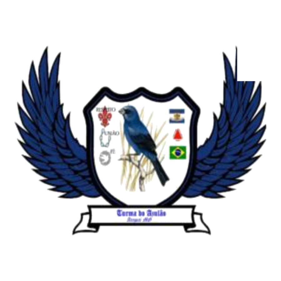 Escudo O começo